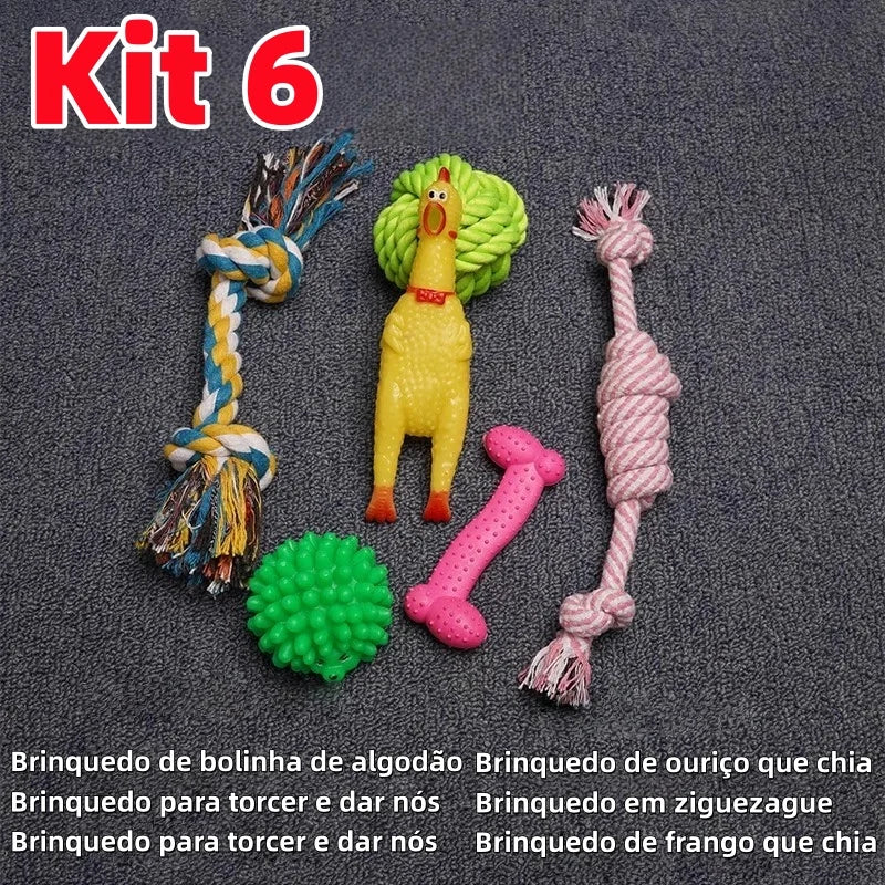 Kit com 10 Brinquedos Mordedores para Cães