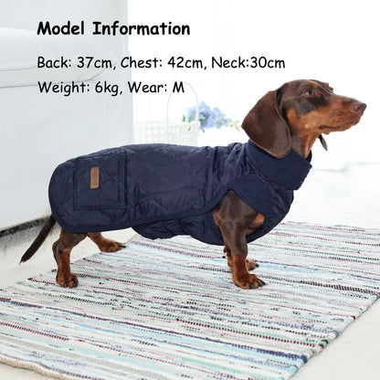 Roupinha de Inverno para Dachshund