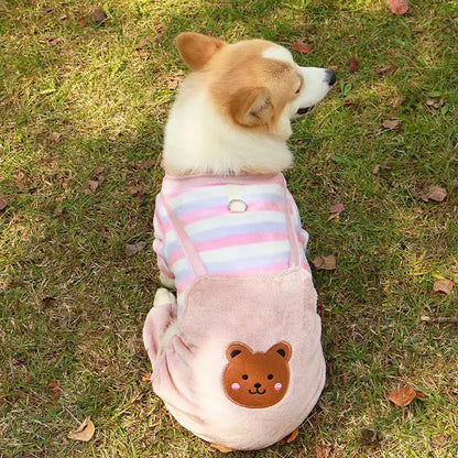 Roupinha de inverno para cachorros