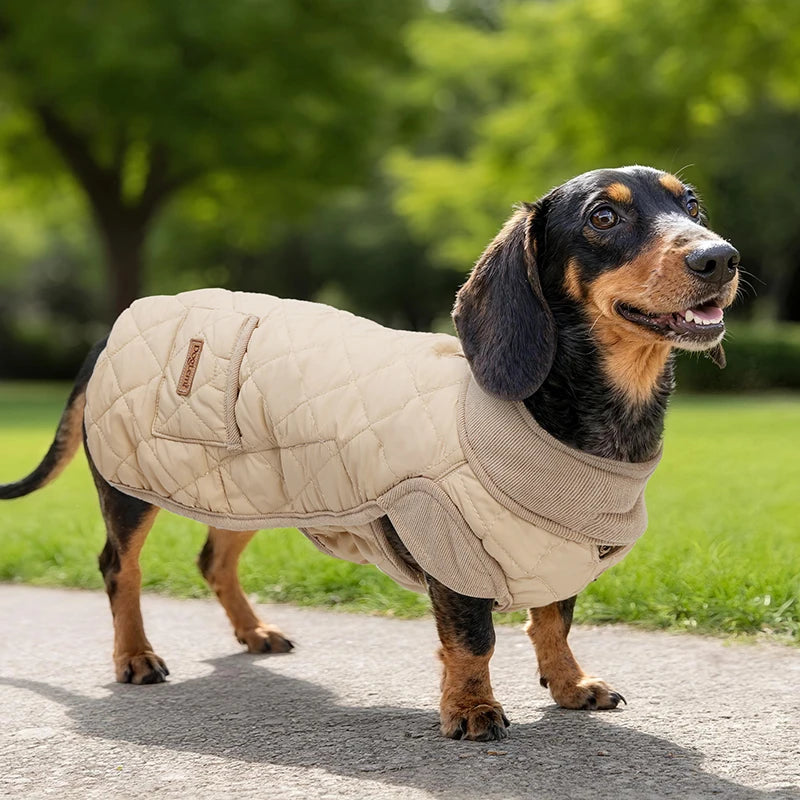 Roupinha de Inverno para Dachshund