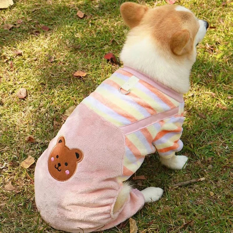 Roupinha de inverno para cachorros