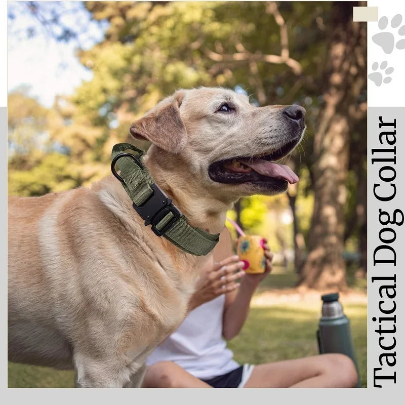 Coleira Tática para Cães