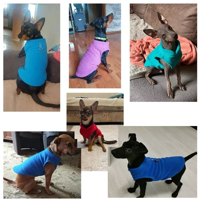 Roupinha Fleece para Cães com Guia