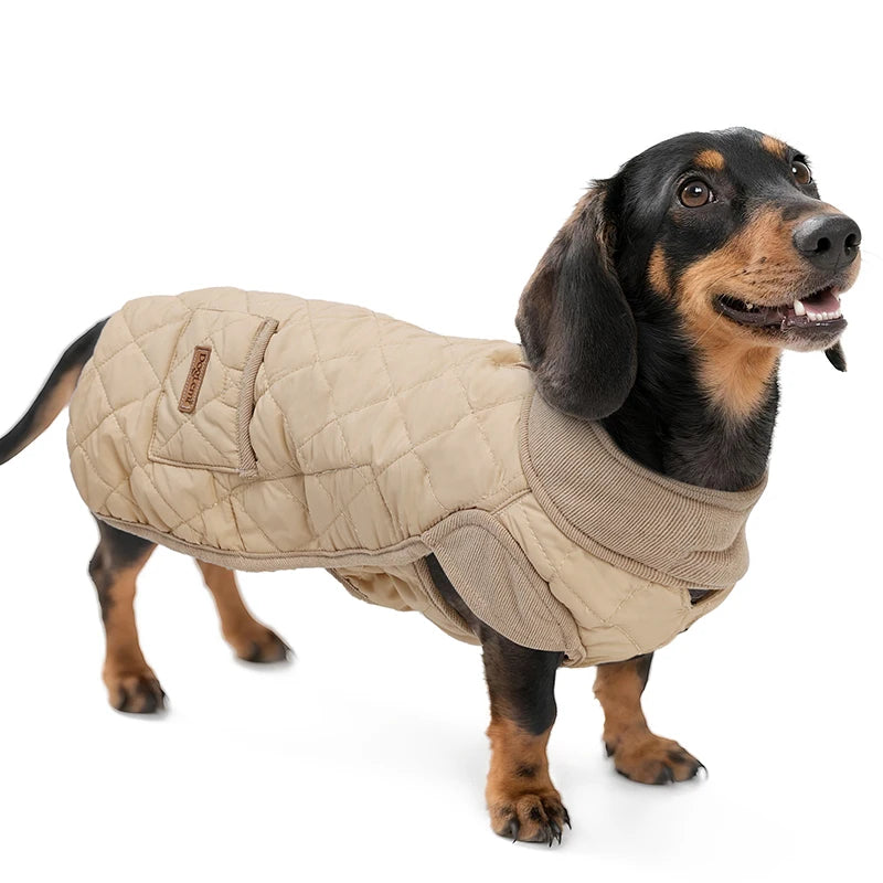 Roupinha de Inverno para Dachshund