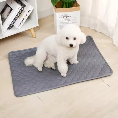 Tapete Higiênico Reutilizável para Pets