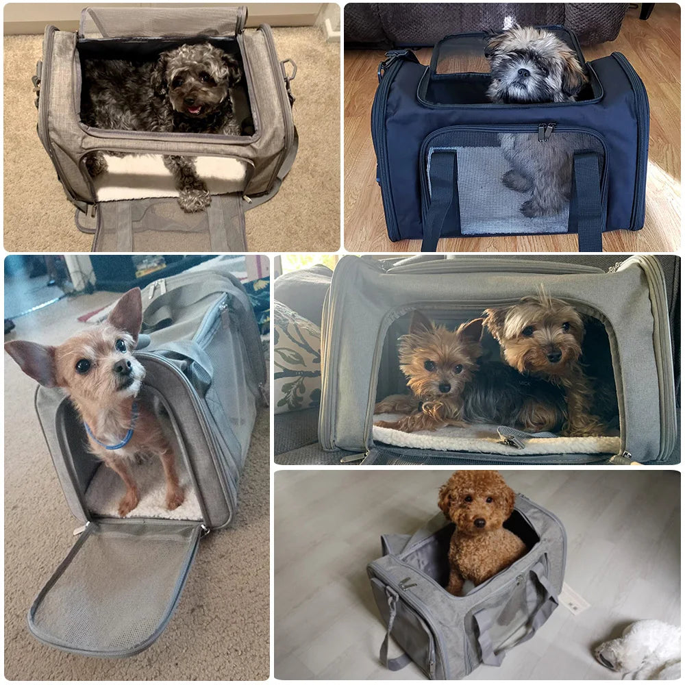 Bolsa de Transporte para Cães e Gatos