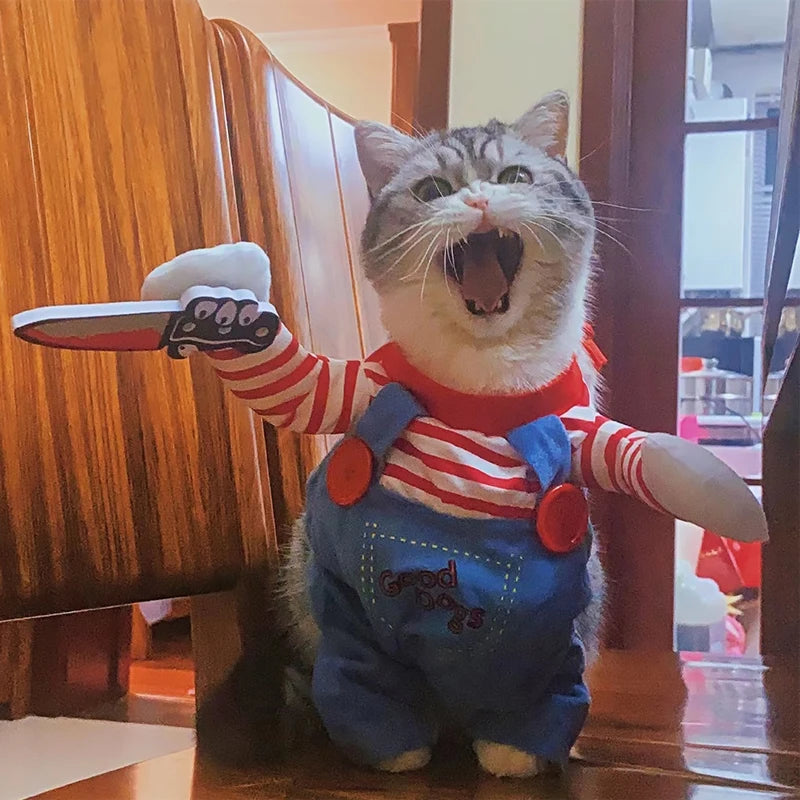 Roupinha Fantasia para Cães e Gatos