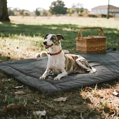 Tapete Impermeável para Pets