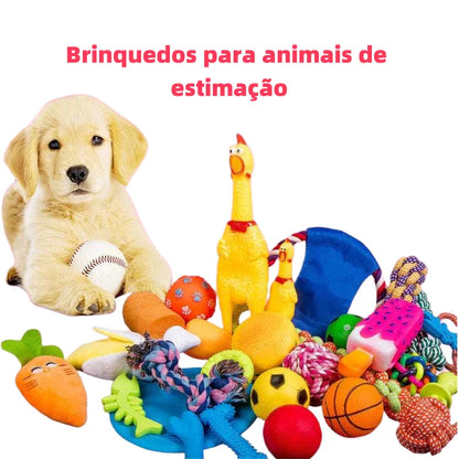 Kit com 10 Brinquedos Mordedores para Cães