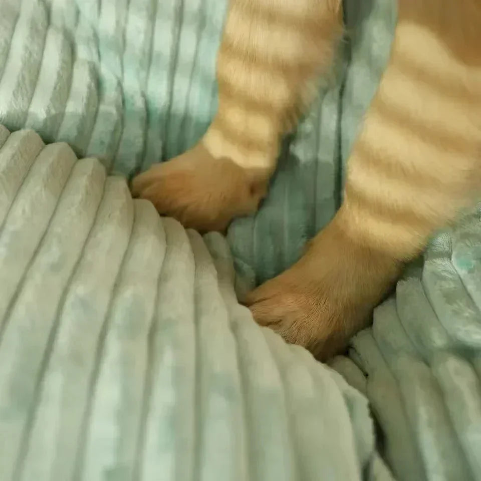 Colchonete Acolchoado para Cães