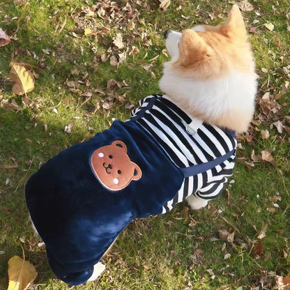 Roupinha de inverno para cachorros
